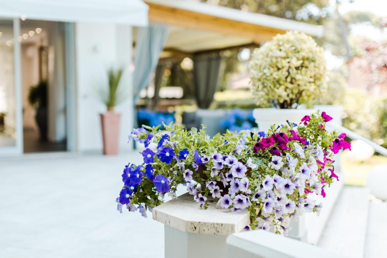 Park Hotel Giusy Camaiore Bagian luar foto
