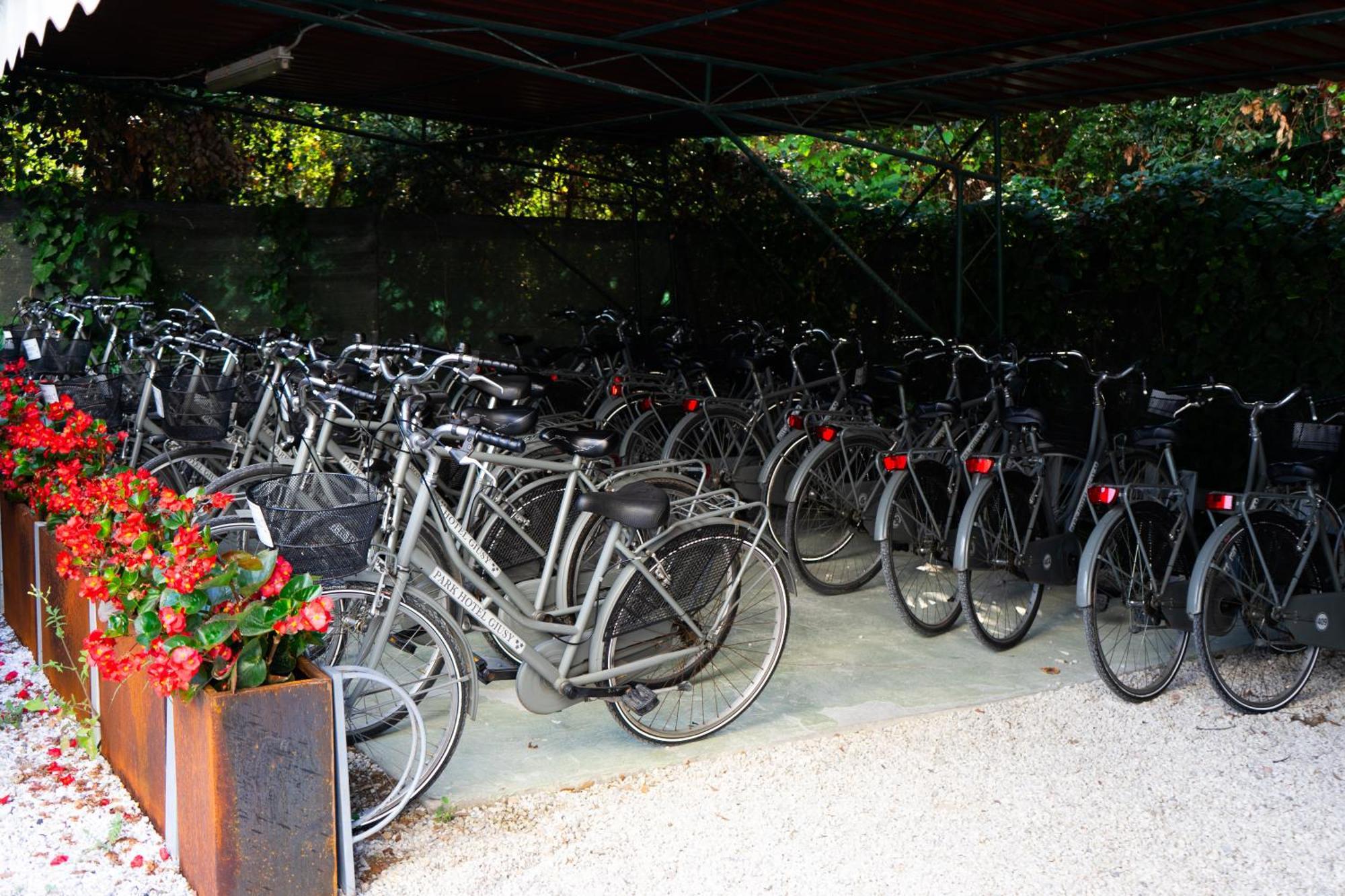 Park Hotel Giusy Camaiore Bagian luar foto